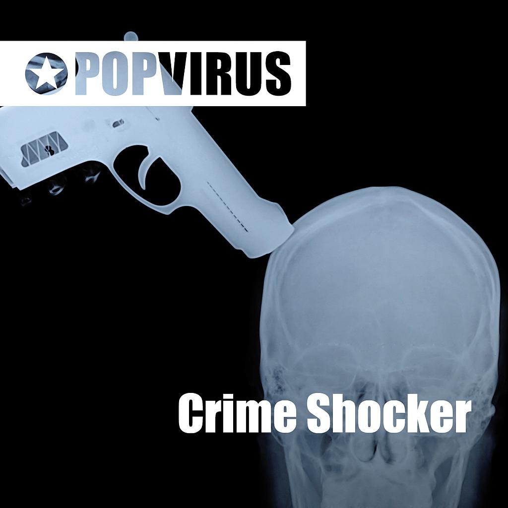 Trouble Shooter