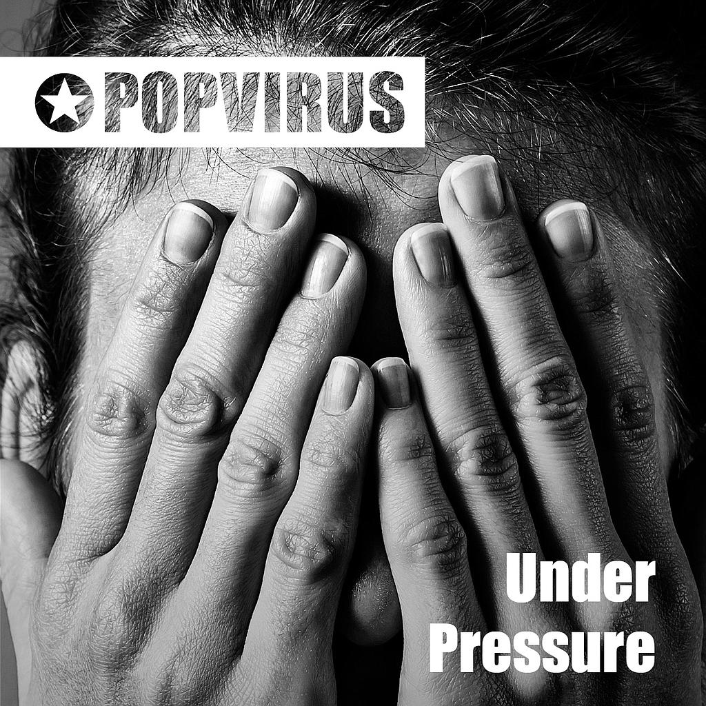 Bipolar Disorder (Minimal-Version)